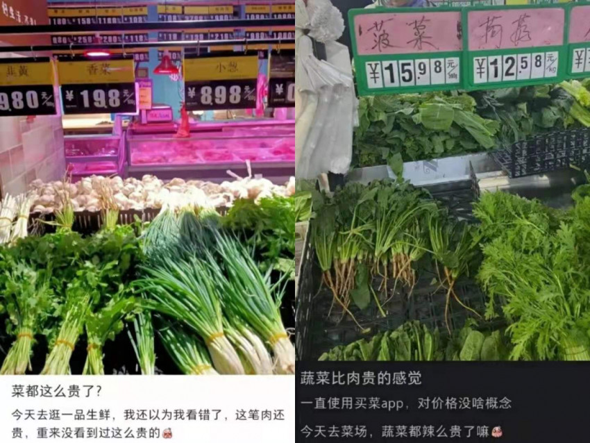 蔬菜贵到吃不起,菜农却血本无归,钱到底被谁赚走了?