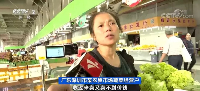 蔬菜贵到吃不起,菜农却血本无归,钱到底被谁赚走了?