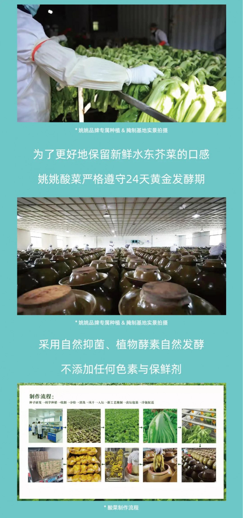 姚姚酸菜鱼:按照国家标准研制新酸菜,新鲜安全