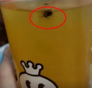 蜜雪冰城饮品中出现苍蝇，店家：封口时飞进去