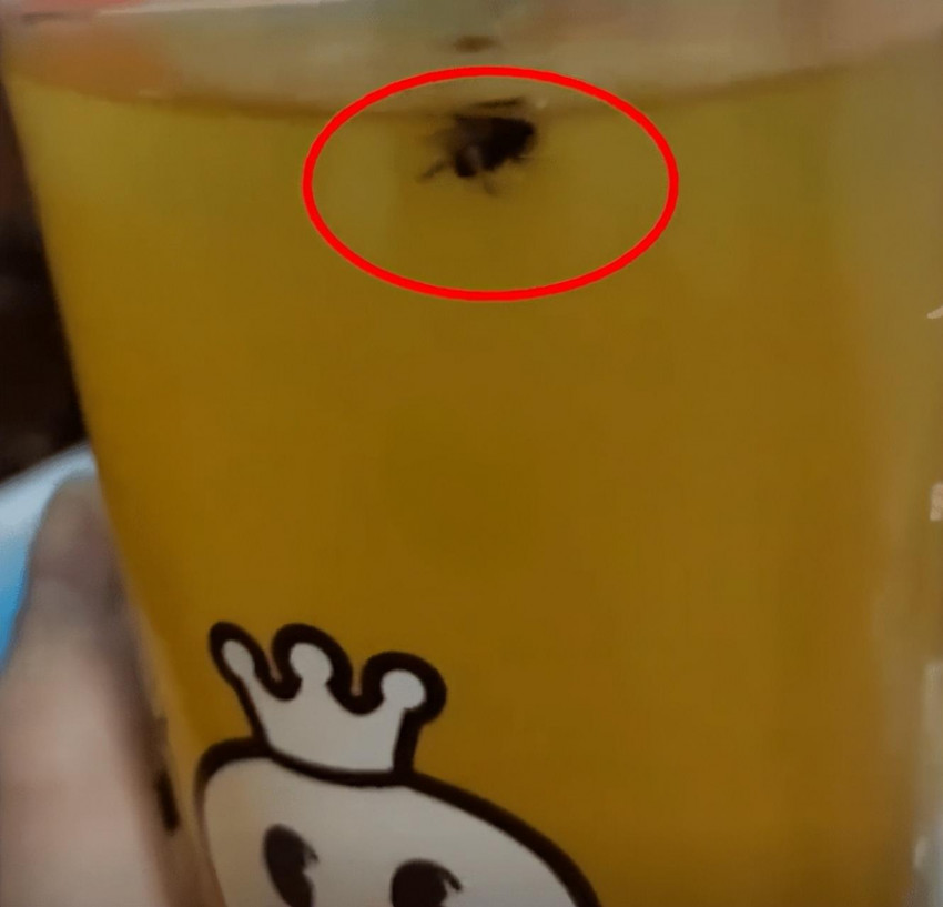 蜜雪冰城饮品中出现苍蝇,店家:封口时飞进去的,已赔偿