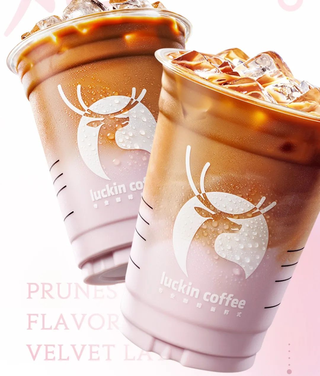 网红用大白鲨做菜涉嫌违法;海底捞回应旗下品牌闭店未退会员费