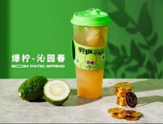 「啊爆柠檬茶」完成千万天使轮融资，由山竹资