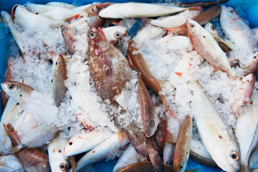 万亿预制菜,冰火两重天