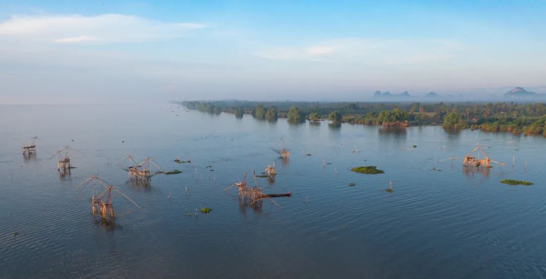 一周简讯|2022年上半年京东预制菜同比增长170%