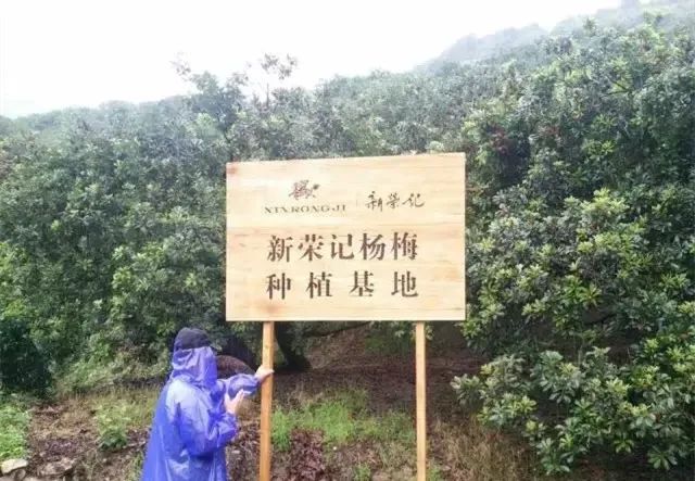 新荣记：宁愿成本高点、卖贵点，绝不牺牲品质！