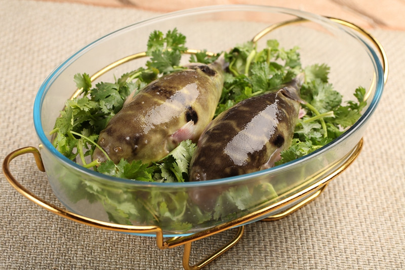 《冰鲜河鲀流通规范》团标征意见，各环节应实现有效追溯