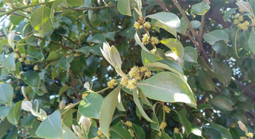 面馆赛道大浪淘沙,这个品牌道出了穿越周期的秘密