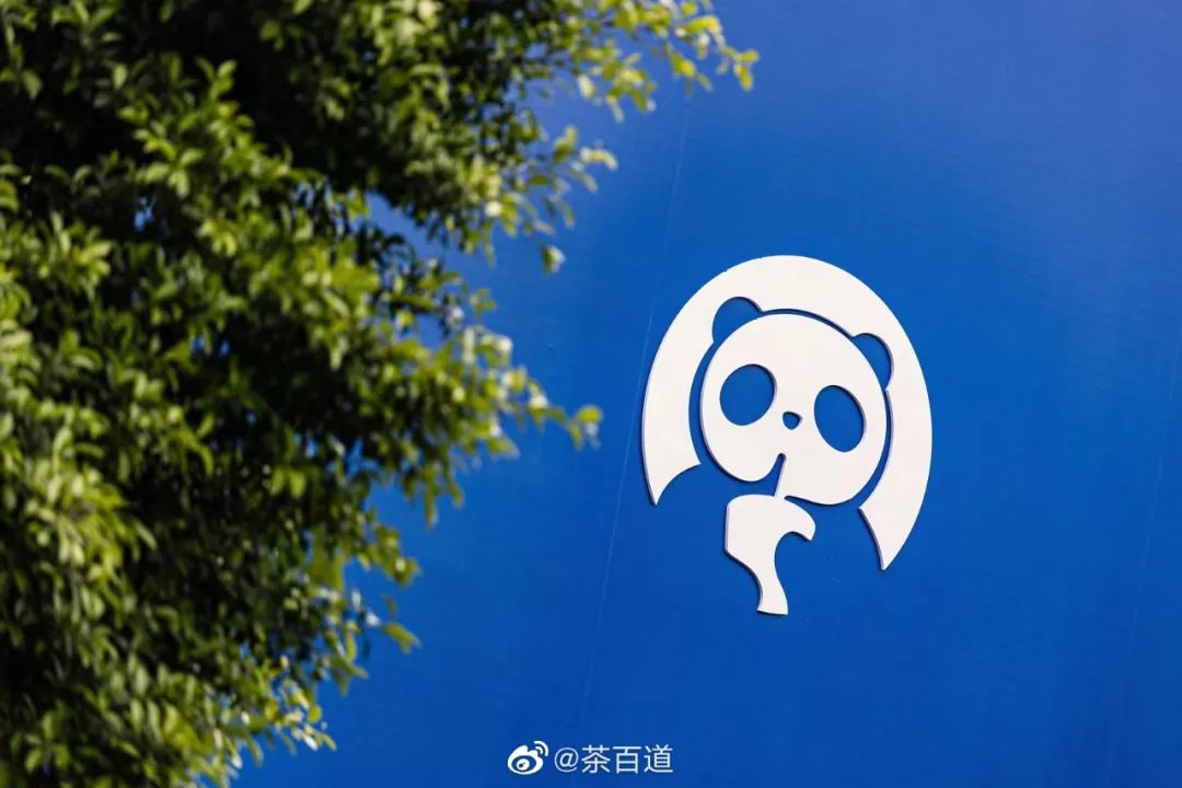 喜茶、奈雪的茶、霸王茶姬...12家新茶饮品牌拓展计划,主打一个“猛”!