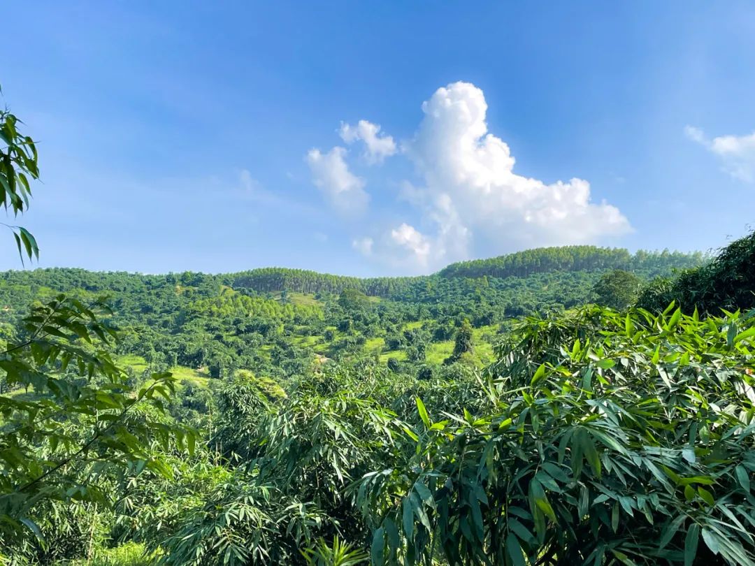 连而不锁、营收单一，这个千亿品类该如何破局？