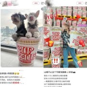 深圳疯抢网红泡面桶，已被炒至1999元！网友：真