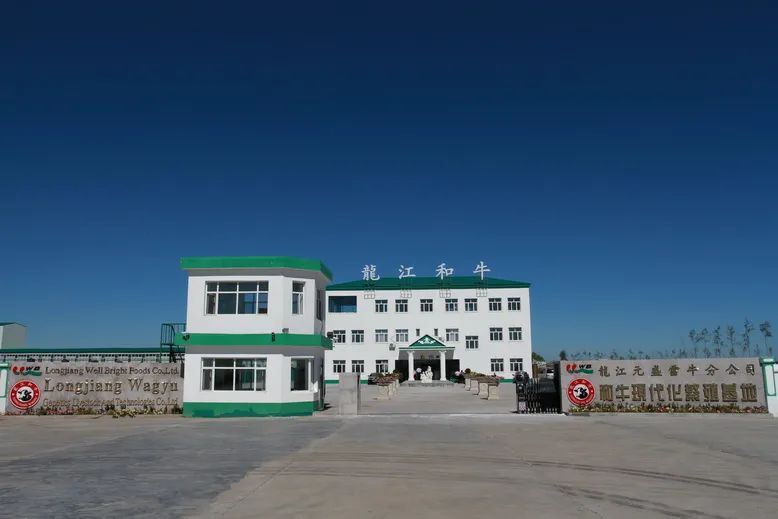 年营收超13亿，这家生产国产和牛肉的企业赢麻了！