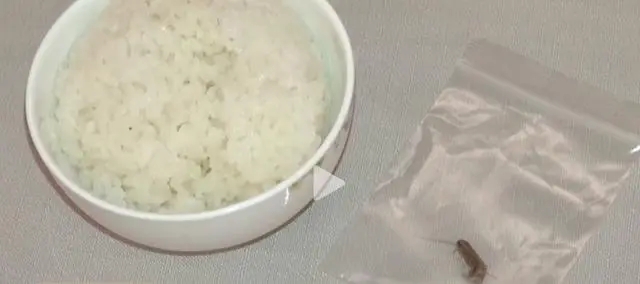 是个狠人!北京一男子口含蟑螂向多家餐饮店敲诈勒索