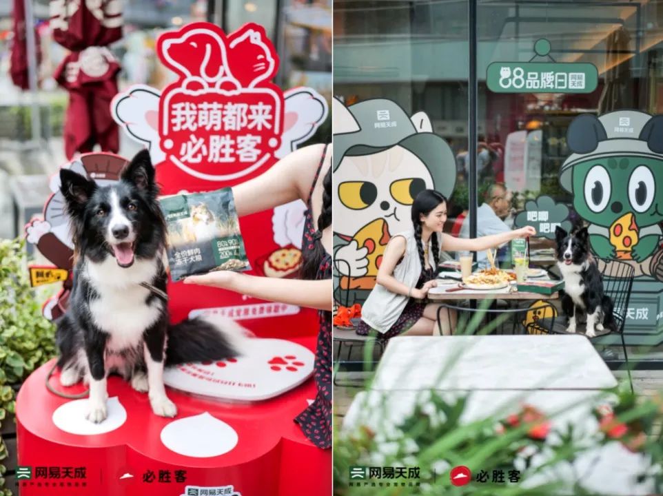 网易天成与必胜客联名推出“人宠同吃”套餐,探索人宠生活新方式