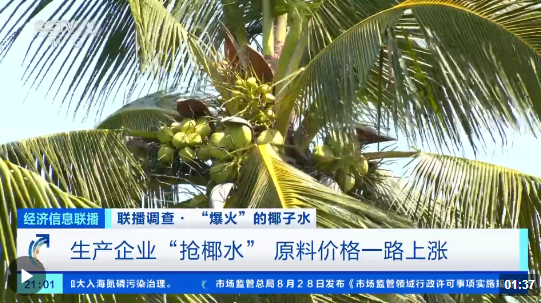 价格暴涨4000%,,还供不应求!椰子水怎么这么火?