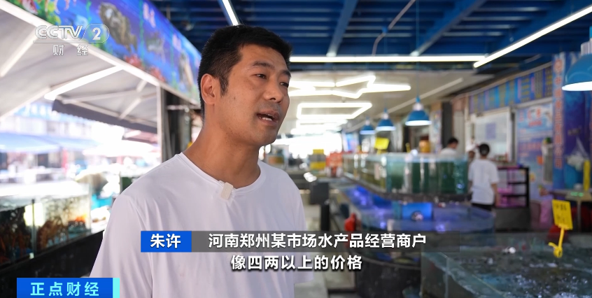 大降价!有海鲜一斤便宜20元,1000多斤梭子蟹7小时卖光!