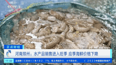 大降价！有海鲜一斤便宜20元，1000多斤梭子蟹7小