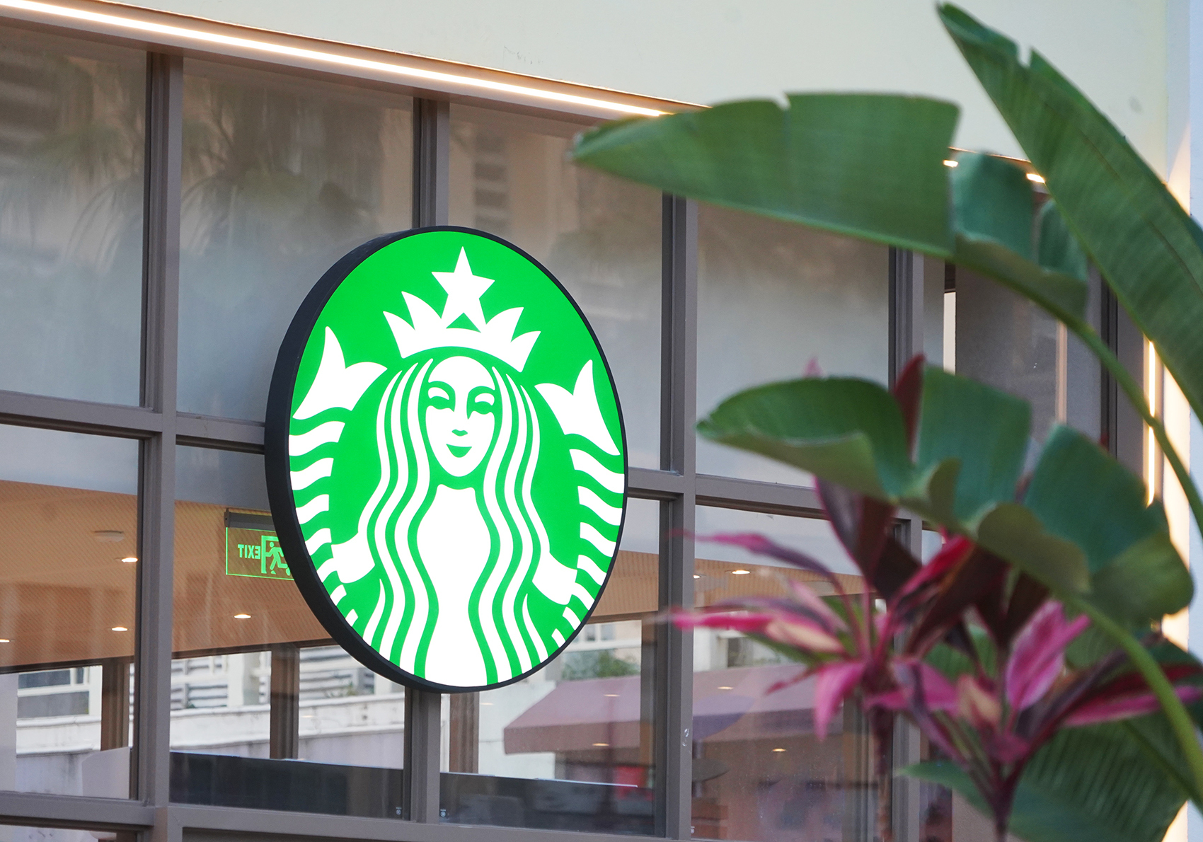 冲上热搜!星巴克App崩了,客服回应:已抢修成功