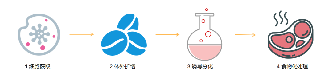 核污水持续排放30年,“人造海鲜”的机会来了?