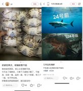 核污水持续排放30年，“人造海鲜”的机会来了？