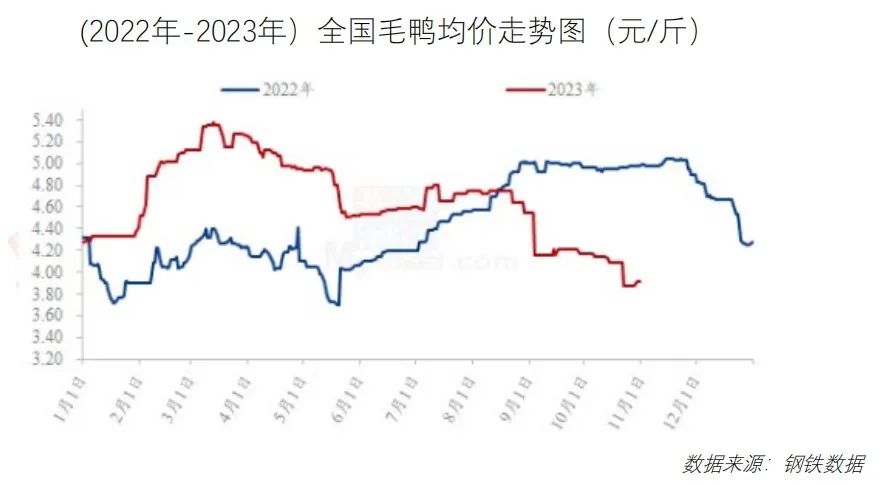鸡鸭价格震荡下行！免费下载，最新食材采购行情报告