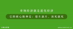 关店率高达51.91%，关店数远超开店数，黑色经典
